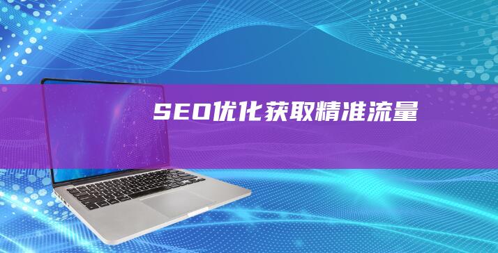 SEO优化获取精准流量